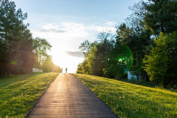 Cost of Asphalt Pathway Installation in Arlington Heights