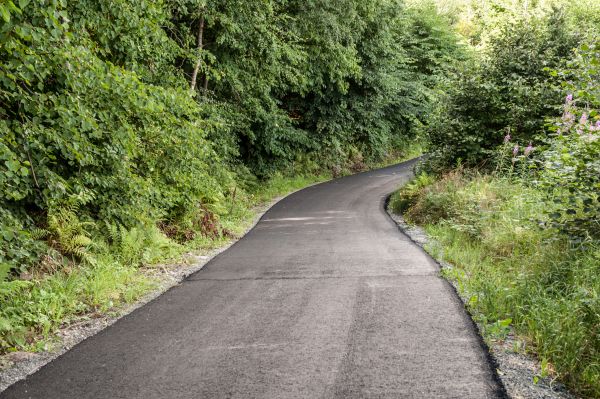 Asphalt Driveway Replacement in Arlington Heights